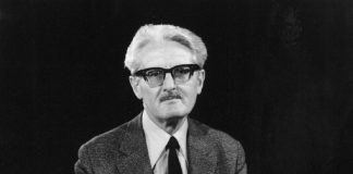 CEVDET KUDRET SOLOK KİMDİR?