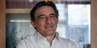 AHMET İNSEL KİMDİR?