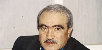 DİLAVER CEBECİ KİMDİR?