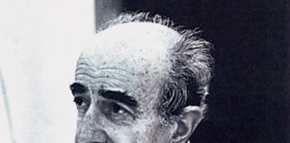 ŞEVKİ VANLI KİMDİR?